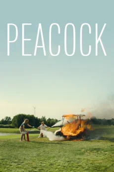 Peacock Poster