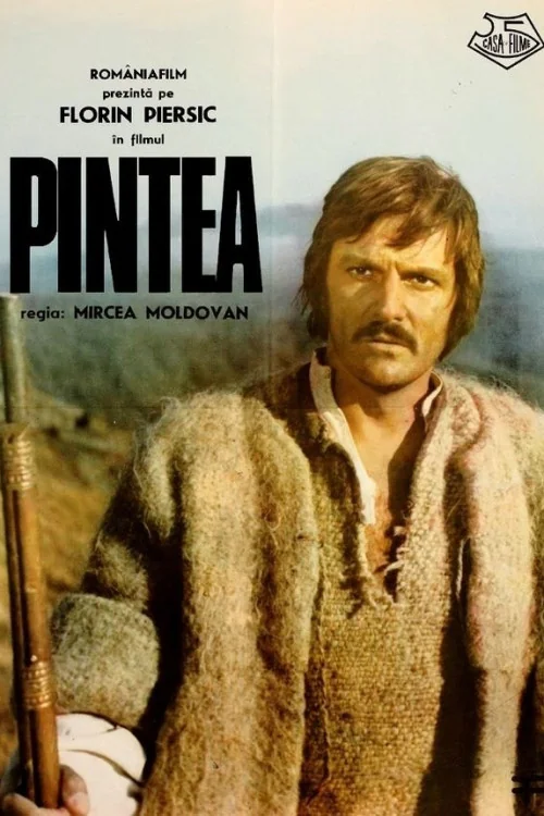 Pintea Poster