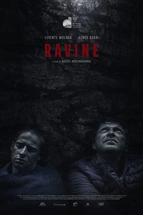 Ravine Poster