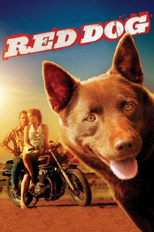 Red Dog Poster
