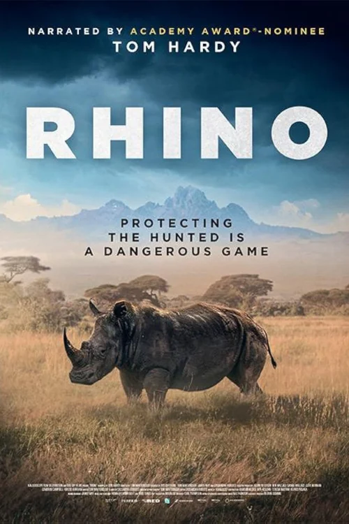 Rhino Poster