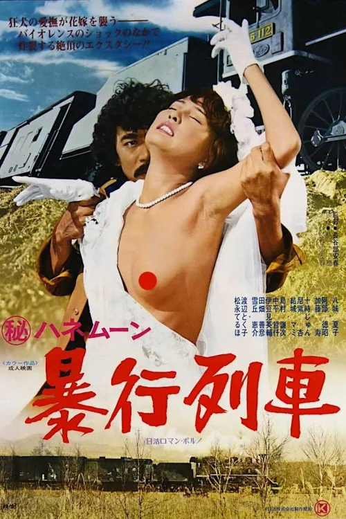 Secret Honeymoon: Rape Train Poster