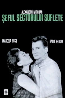 Seful sectorului suflete Poster