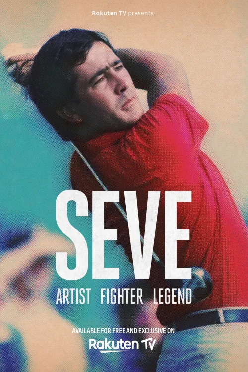SEVE Artist Fighter Legend Poster