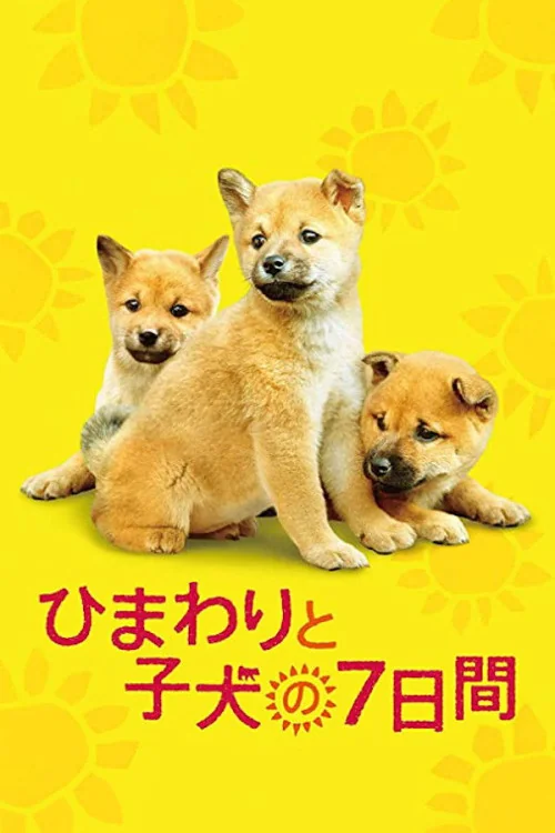 Seven Days of Himawari and Her Puppies Poster