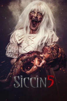 Siccin 5 Poster