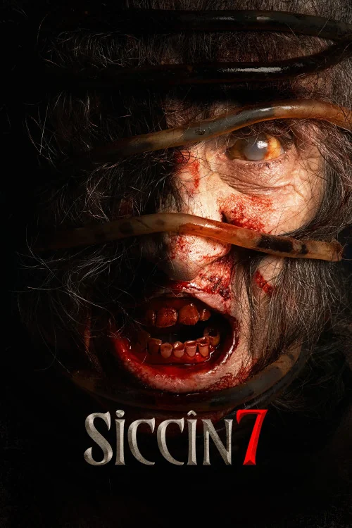 Siccin 7 Poster