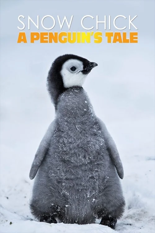 Snow Chick: A Penguin's Tale Poster