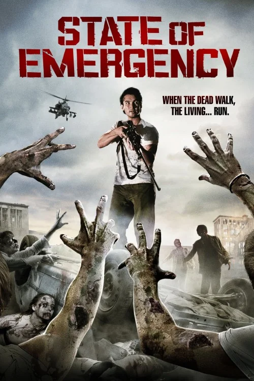 State of Emergency Poster