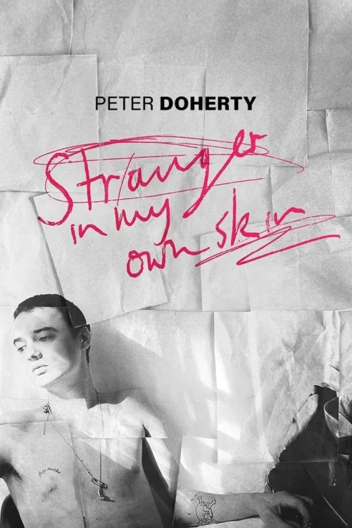 Stranger in My Own Skin Poster