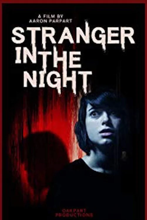 Stranger in the Night Poster
