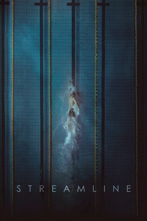 Streamline Poster