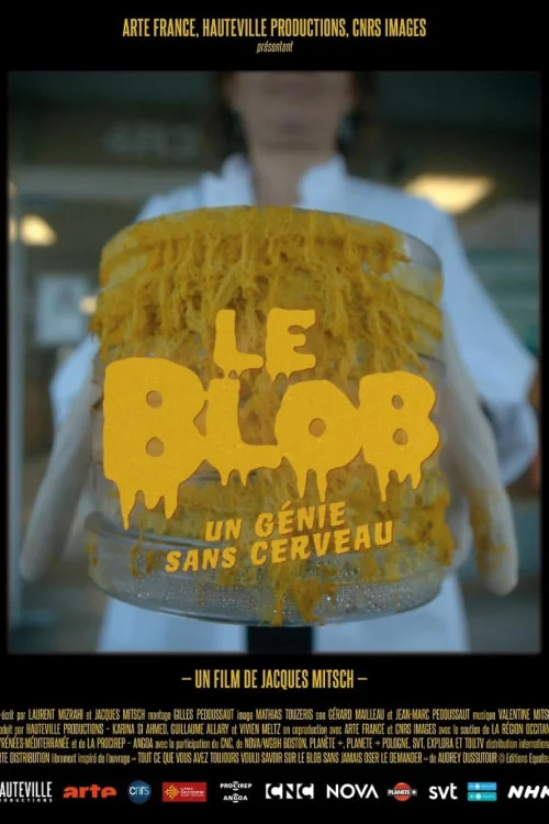 The Blob: A Genius Without a Brain