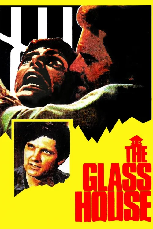 The Glass House Poster