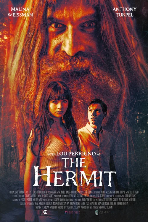 The Hermit Poster