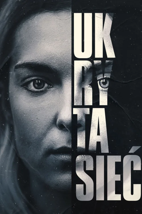 The Hidden Web Poster