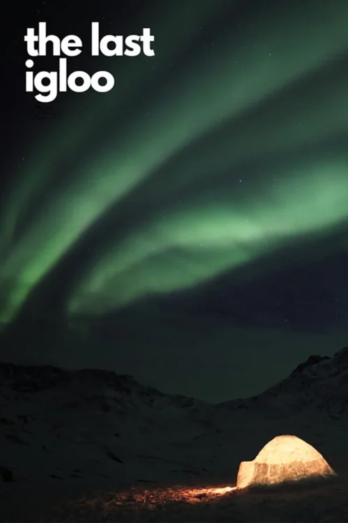 The Last Igloo Poster