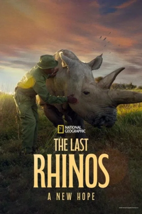 The Last Rhinos: A New Hope Poster