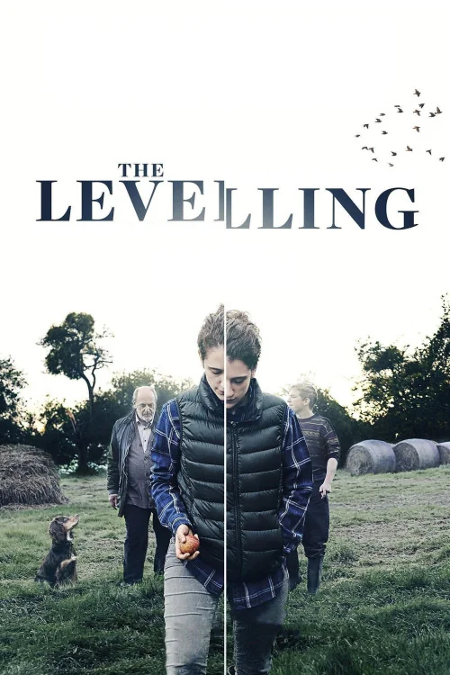 The Levelling Poster