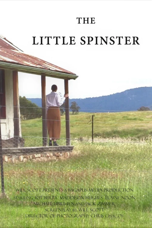 The Little Spinster Poster