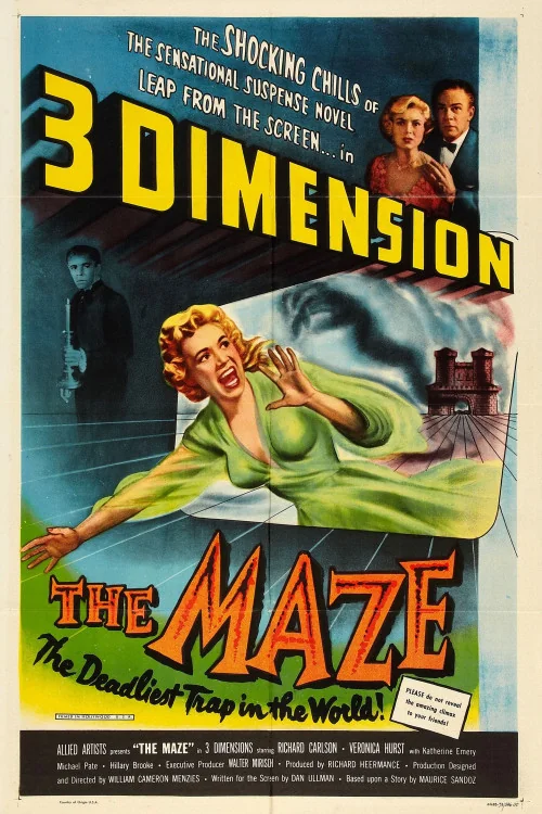 The Maze Poster