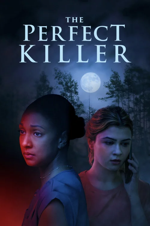 The Perfect Killer Poster