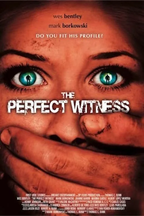The Perfect Witness Poster