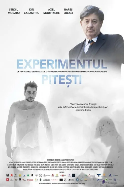 The Pitesti Experiment Poster
