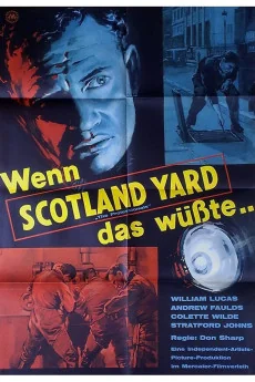 The Professionals Poster