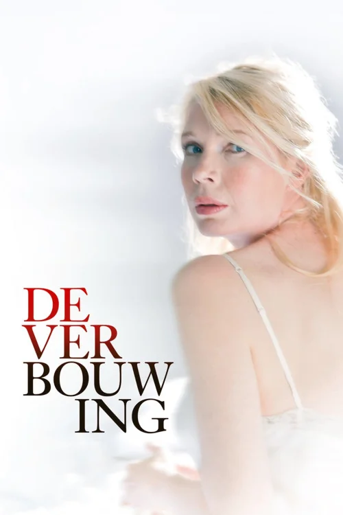 The Renovation Poster