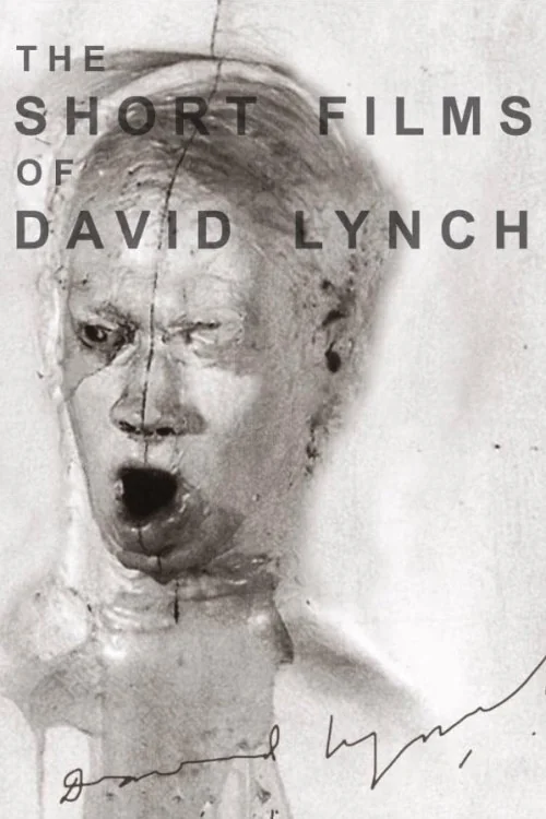 The Short Films of David Lynch Poster