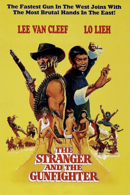 The Stranger and the Gunfighter Poster