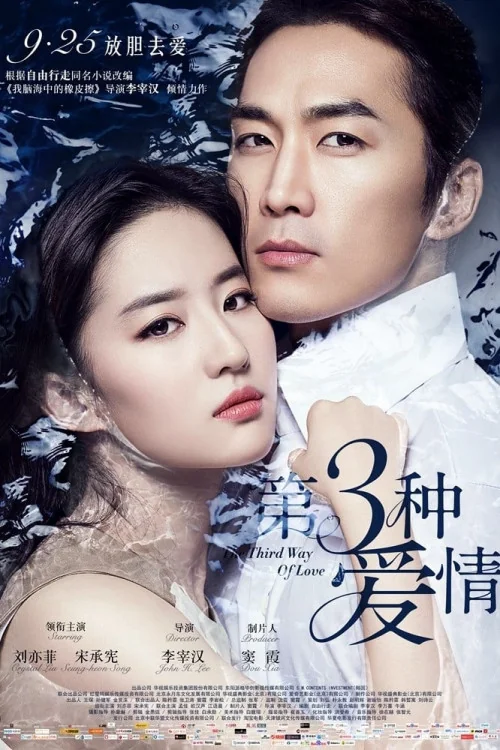 The Third Way of Love Poster