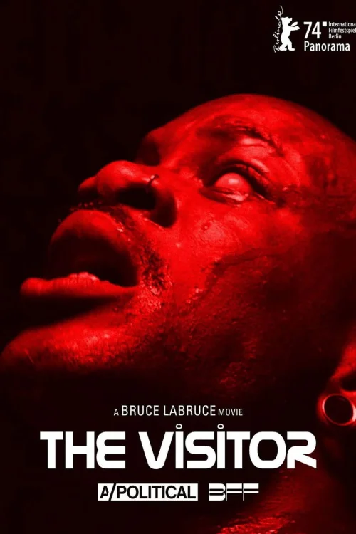The Visitor Poster