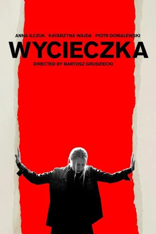 The Wall Poster
