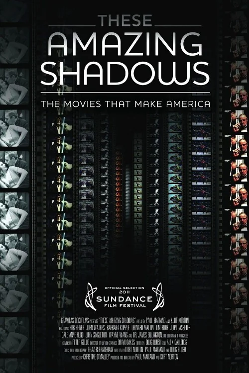 These Amazing Shadows Poster