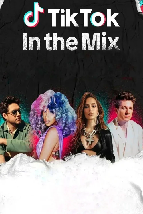 TikTok in the Mix Poster