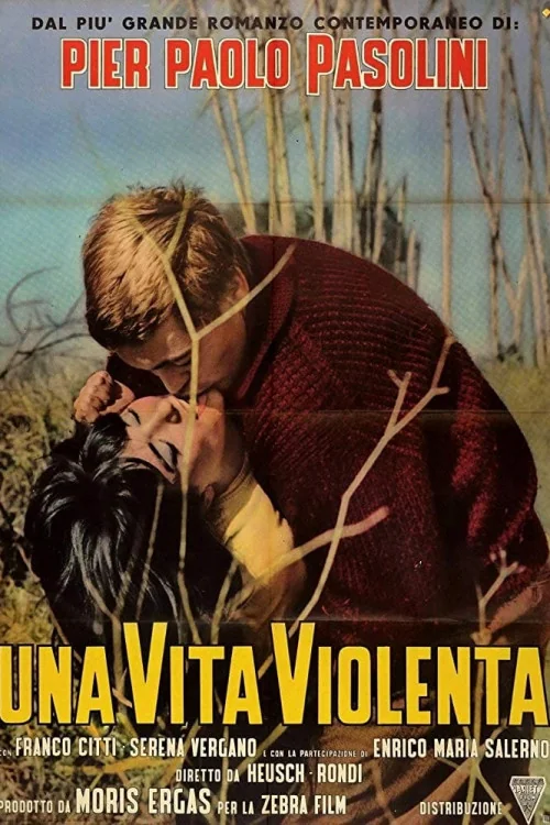 Una vita violenta Poster