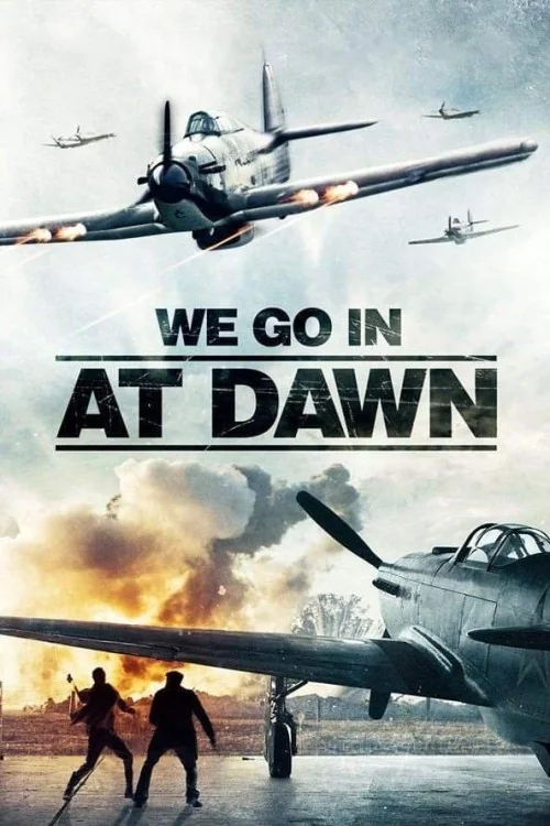 We Go in at Dawn Poster