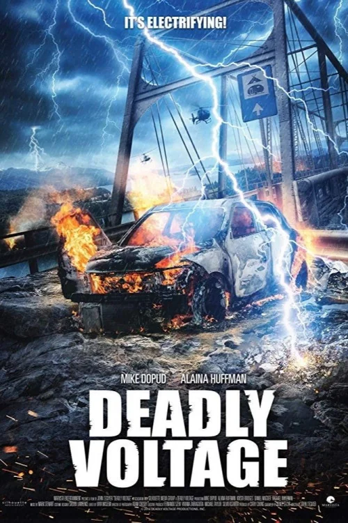 When the Sky Falls Poster