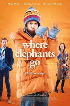 Where Elephants Go Poster