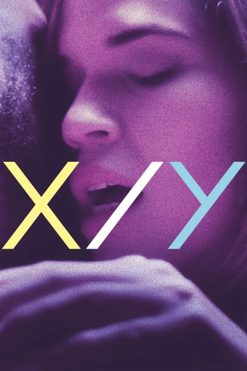 X/Y Poster