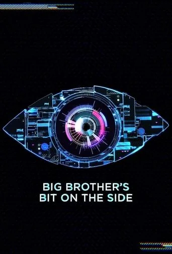 Big Brother's Bit on the Side Poster