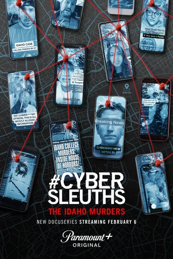 #Cybersleuths: The Idaho Murders Poster