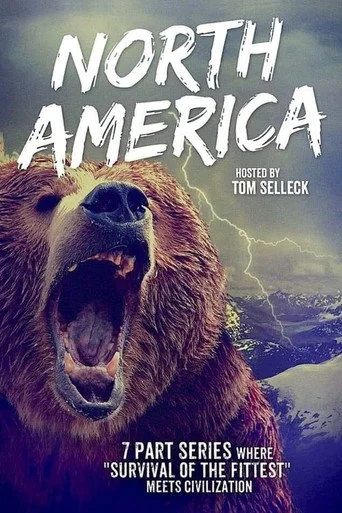 Last Train to North America Poster