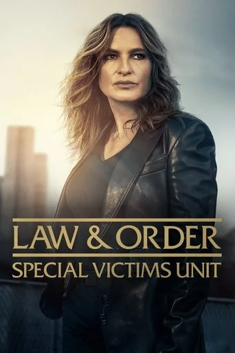 Law and Order: Special Victims Unit Poster