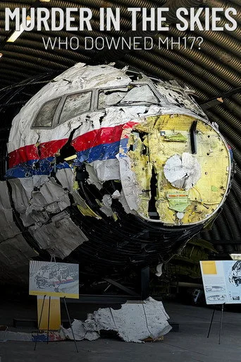 Murder in the Skies: Who Downed Mh17? Poster