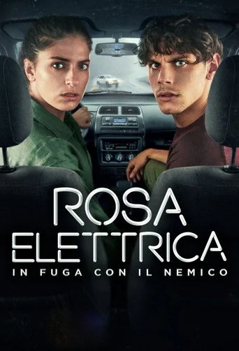 Rosa Elettrica - In fuga con il nemico Poster