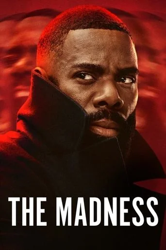 The Madness Poster