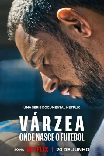 The Root of the Game Poster
